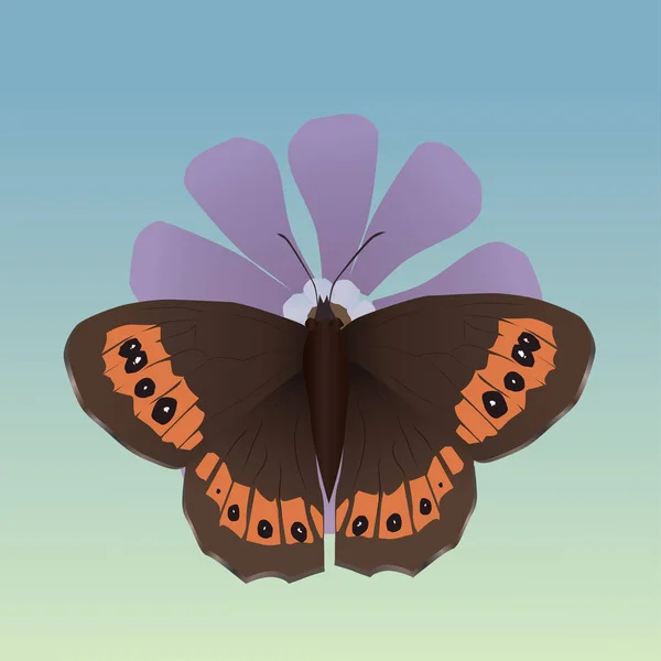 Una Ilustración Vectorial Una Mariposa Marrón Arran Sobre Una Flor — Vector de stock