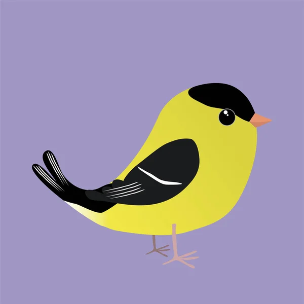 American Goldfinch Cartoon Illustration Purple Background — Stock Vector