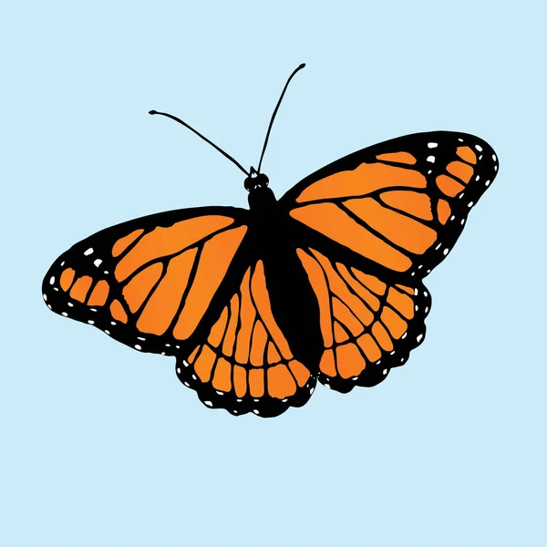 Una Ilustración Vectorial Una Mariposa Virrey Ligeramente Inclinada Sobre Fondo — Vector de stock