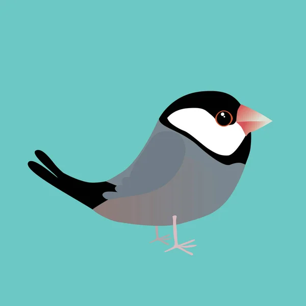 Digital Vector Illustration Cute Java Sparrow Comic Cartoon Style Background — Διανυσματικό Αρχείο