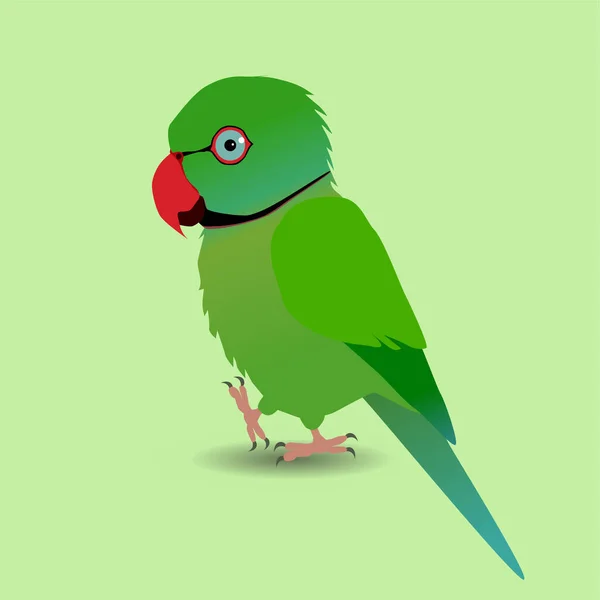 Sevimli Bir Kızılderili Papağanının Dijital Vektör Çizimi Yeşildir Bir Pençesini — Stok Vektör