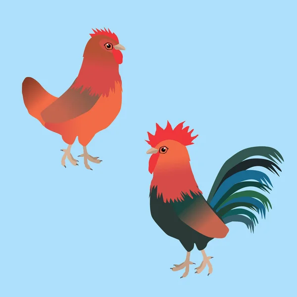 Una Ilustración Vectorial Par Pollos Una Gallina Gallo Raza Welsumer — Archivo Imágenes Vectoriales