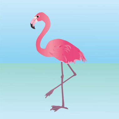 Pembe bir flamingonun çizimi. Bir bacağını kaldırdı..