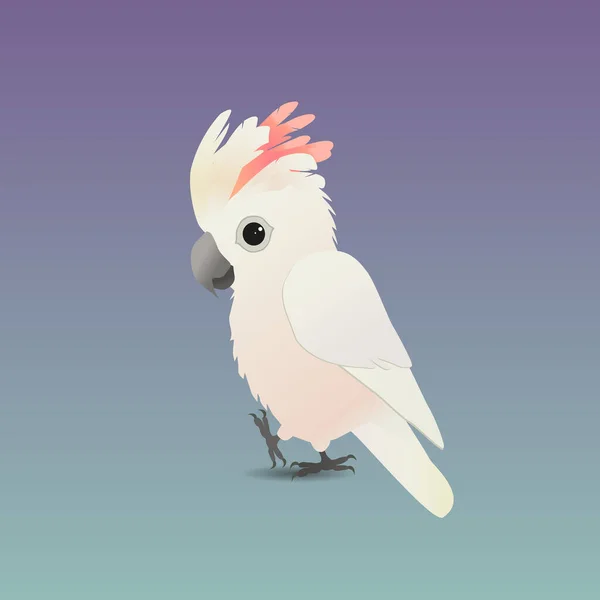 Μια Απεικόνιση Ενός Χαριτωμένου Παπαγάλου Γέμιση Σολομού — Διανυσματικό Αρχείο