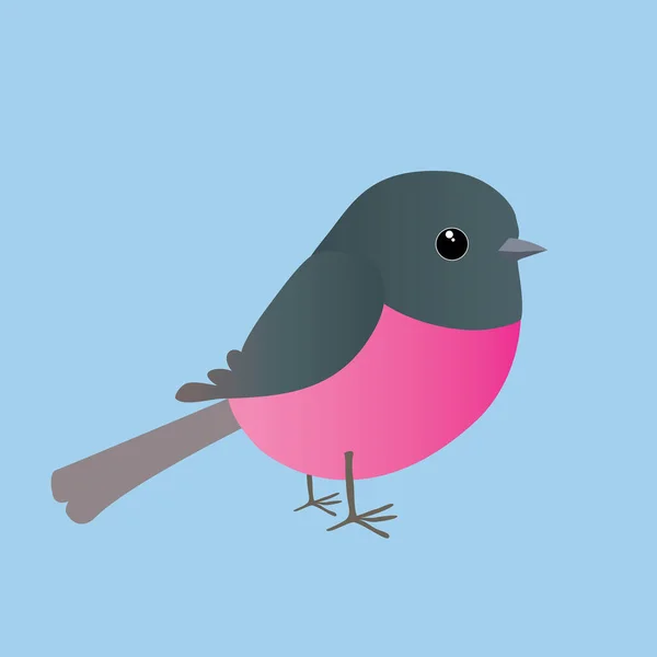 Cute Pink Robin Comic Illustration Cut Out Blue Background — Stock Vector