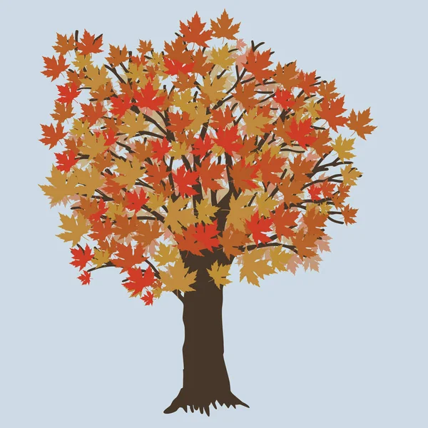 Una Ilustración Vectorial Árbol Arce Durante Otoño Árbol Tiene Hojas — Archivo Imágenes Vectoriales