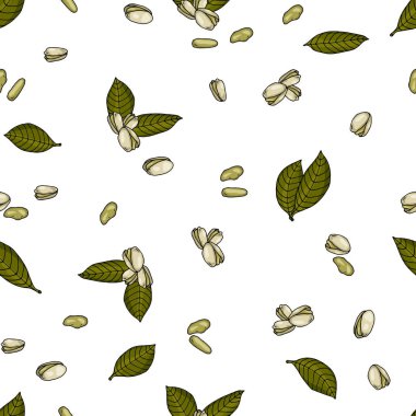 renkli Antep fıstığı ve yaprakları beyaz arka plan el ile Seamless modeli çizilmiş