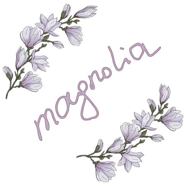 Hand drawn magnolia flower with branches and leaves in round brush and lettering vector illustration — Stock Vector