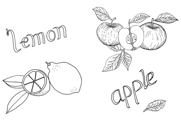 Ensemble d'éléments monochromes aux pommes et citrons dessinés à la main avec feuilles et illustration vectorielle lettrée — Image vectorielle