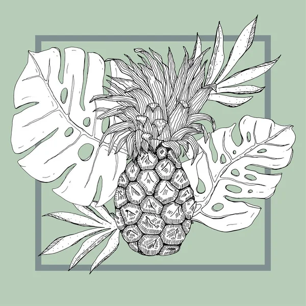 Handgezeichnete Ananas monochrom mit tropischen Blättern in Rahmenvektorillustration — Stockvektor