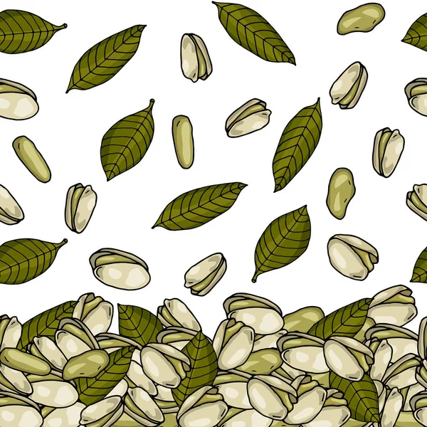 Borde sin costura con pistachos dibujados a mano y hojas de fondo blanco vector ilustración — Vector de stock