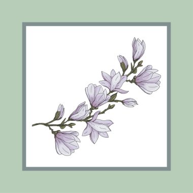 El çizilmiş renkli manolyalar vektör illüstrasyon ile kart şablonu dekoratif tasarım