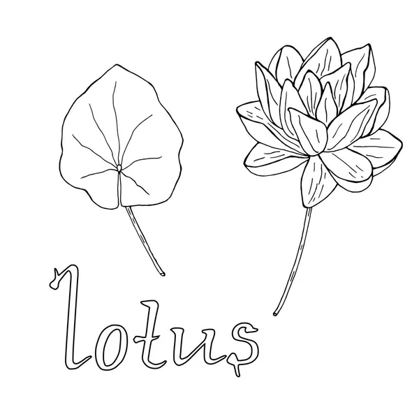 Loto monocromatico disegnato a mano con illustrazione vettoriale di foglie e scritte — Vettoriale Stock