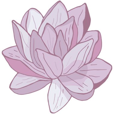 El çizilmiş güzel çiçek nilüfer renkli vektör illüstrasyon