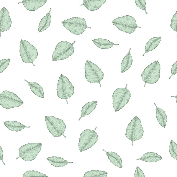 Patrón sin costura con ilustración de vectores de hojas tropicales verdes dibujadas a mano — Vector de stock