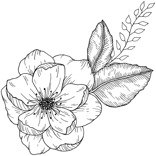 Bouquet floral dessiné à la main avec fleur de rose sauvage et feuilles illustration vectorielle monochrome — Image vectorielle