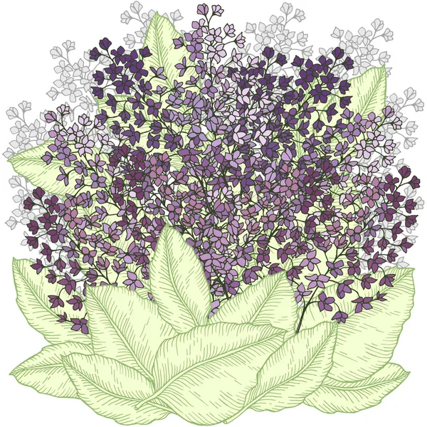 Handgezeichneter Blumenstrauß mit Flieder und Blättern farbige Vektorillustration — Stockvektor