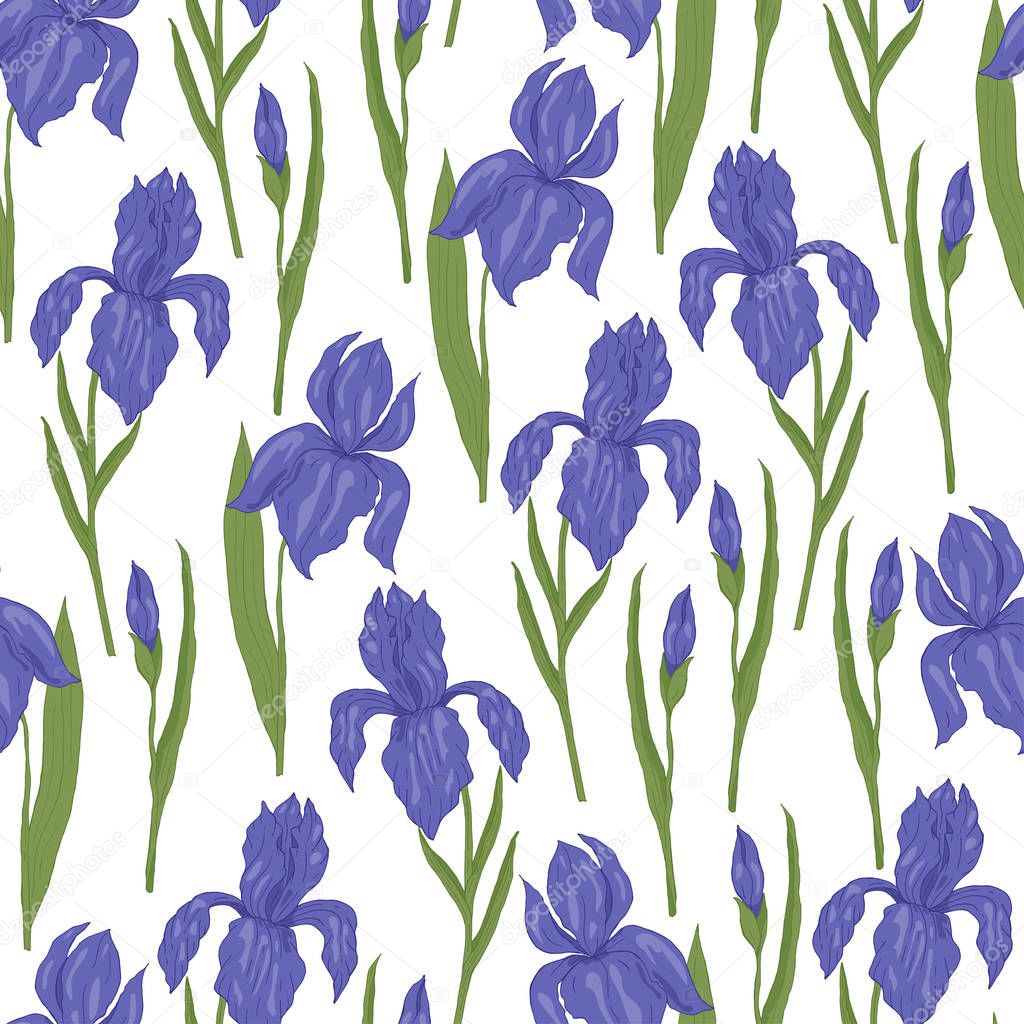 Seamless pattern, endless template of hand drawn flower iris with leaves vector illustration