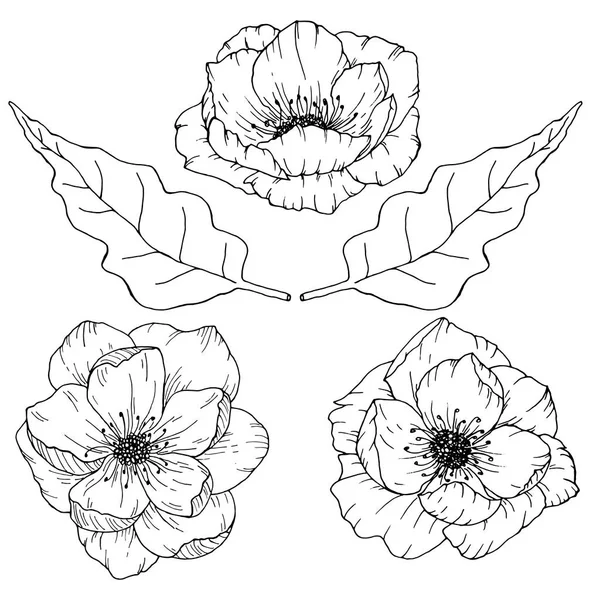 Kézzel rajzolt virágos csokor Vadrózsa virág és levelek fekete-fehér vektor illusztráció — Stock Vector