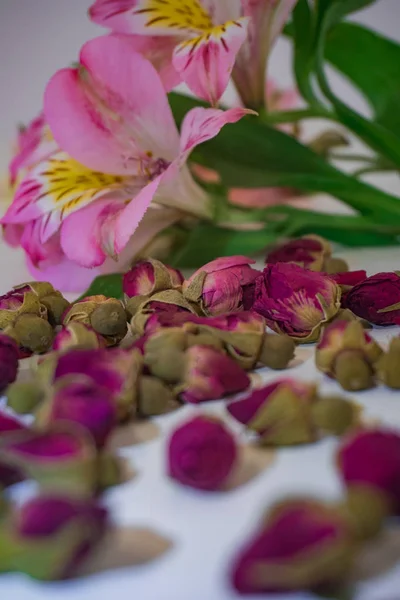 Flower Still Life Dry Roses Living Alstroemeria — Stock Photo, Image