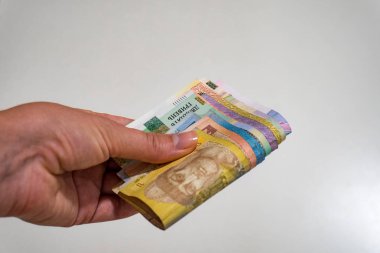 Bir adam Ukrayna ulusal para birimi Hryvna 'yı elinde tutuyor.