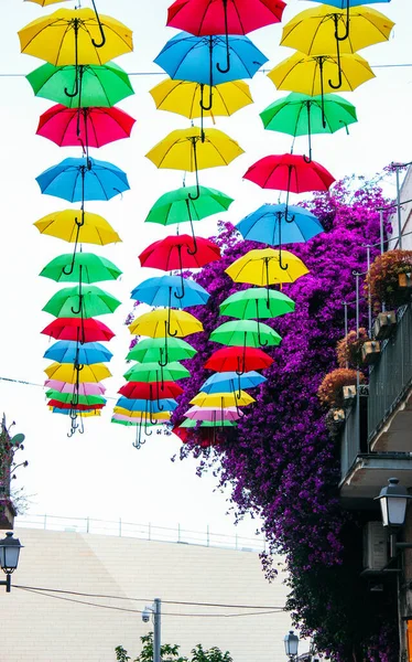 The alley of colored umbrellas in Jerusalem, Israel — Stock Image Alley Colored Umbrellas Jerusalem Israel Royalty Free Stock Images