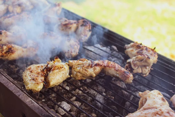 Gambe Pollo Alla Griglia Sul Picnic — Foto Stock