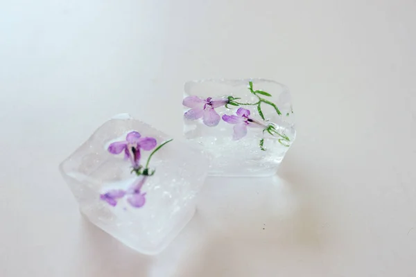 Ice Cubes Frozen Flowers — Stock Photo, Image