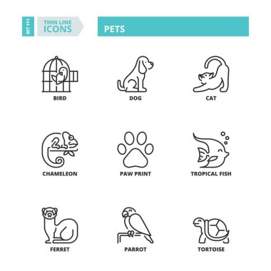 Evcil hayvanlar hakkında çizgi simgeler