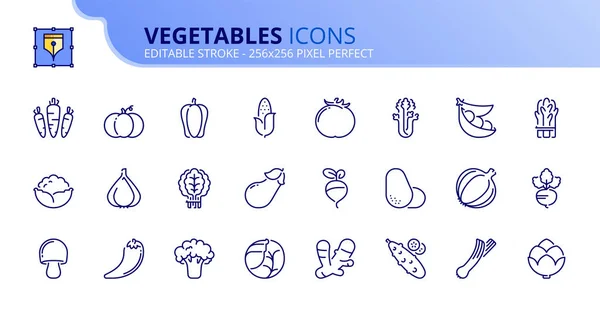 Ensemble simple d'icônes de contour sur les légumes — Image vectorielle