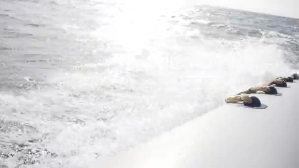 Motor botu su üzerinde sıçramaları ile sürmek — Stok video