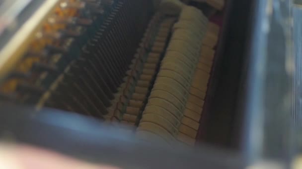 Een jonge man speelt met zijn handen op de piano — Stockvideo