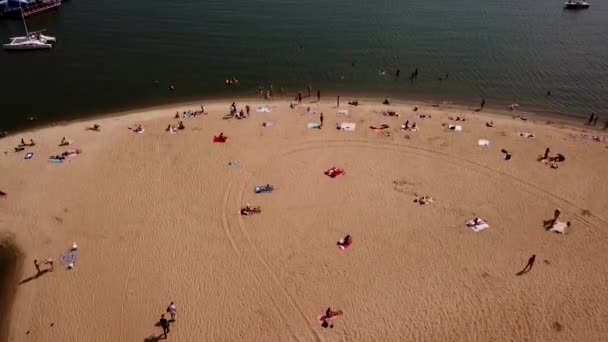 Niños y adultos nadando se divierten en la playa de la ciudad. Vista aérea — Vídeos de Stock