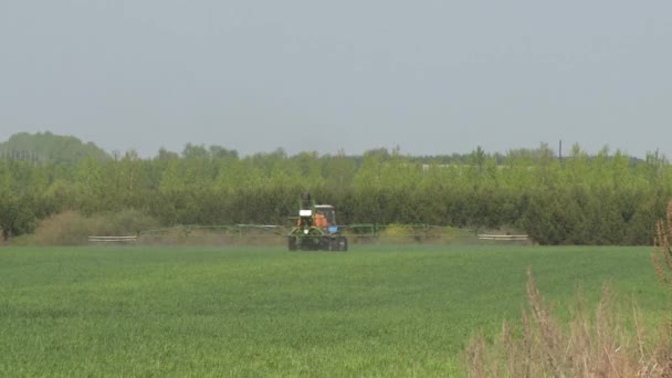 Tractor harvesting field in summer — Stock Video