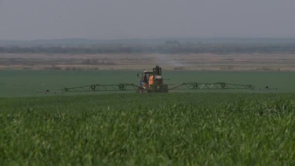 Traktor skörde fält på sommaren — Stockvideo