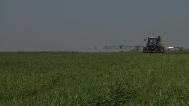 Tractor harvesting field in summer — Stock Video