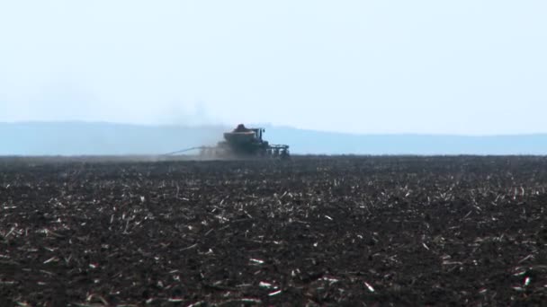 Tractor oogsten veld in de zomer — Stockvideo