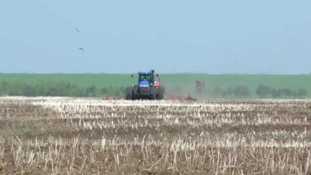 Tractor harvesting field in summer — Stock Video