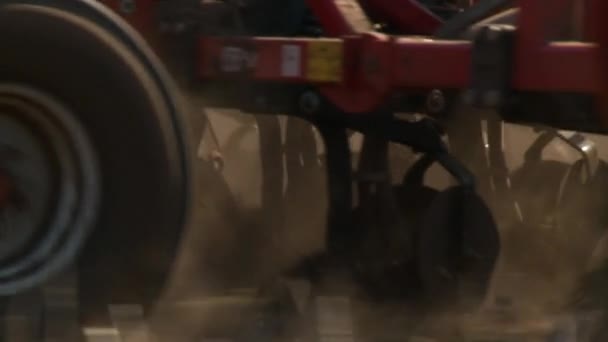 Tractor oogsten veld in de zomer — Stockvideo