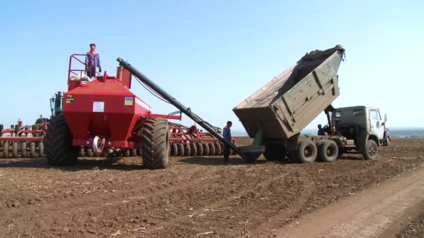 Traktor skörde fält på sommaren — Stockvideo