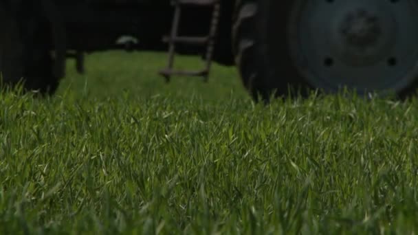 Traktor skörde fält på sommaren — Stockvideo