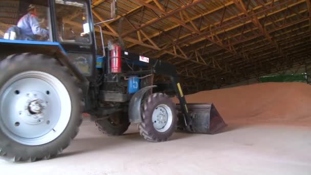 Tractor cosechando grano en una fábrica para la cosecha — Vídeo de stock