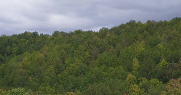 Εναέρια κηφήνες προβολή πλάνα βουνά, δέντρα — Αρχείο Βίντεο