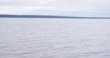 Güneşin doğuşunda güzel ağaçlarla nehir kıyısında havadan görünüm