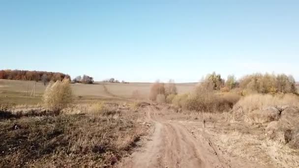 İlkbahar Rus doğa, bir helikopter ile çekim — Stok video