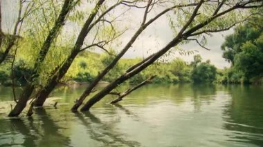 Gölün kıyısı, su ve hafif Güneş