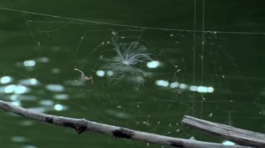 Kazan, Rusya-27 Ağustos 2017: çocuklar yaz aylarında plajda Balıkçılık gitmek