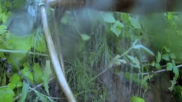 非常重的倾盆大雨 — 图库视频影像