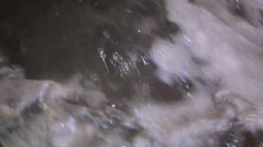 Bitkinin ekipmanında şeker pancarı yıkama süreci