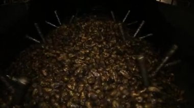Bitkinin ekipmanında şeker pancarı yıkama süreci